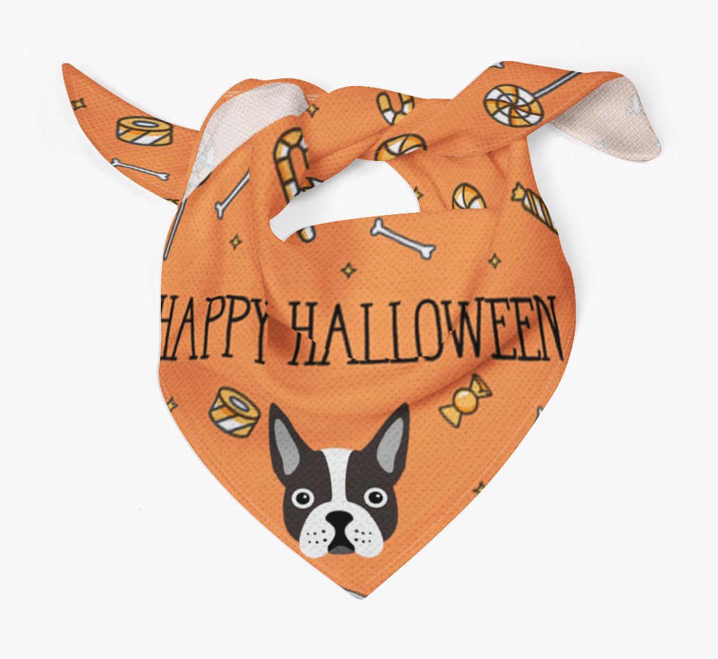 'Happy Halloween' - Personalised {breedFullName} Bandana - Tied view