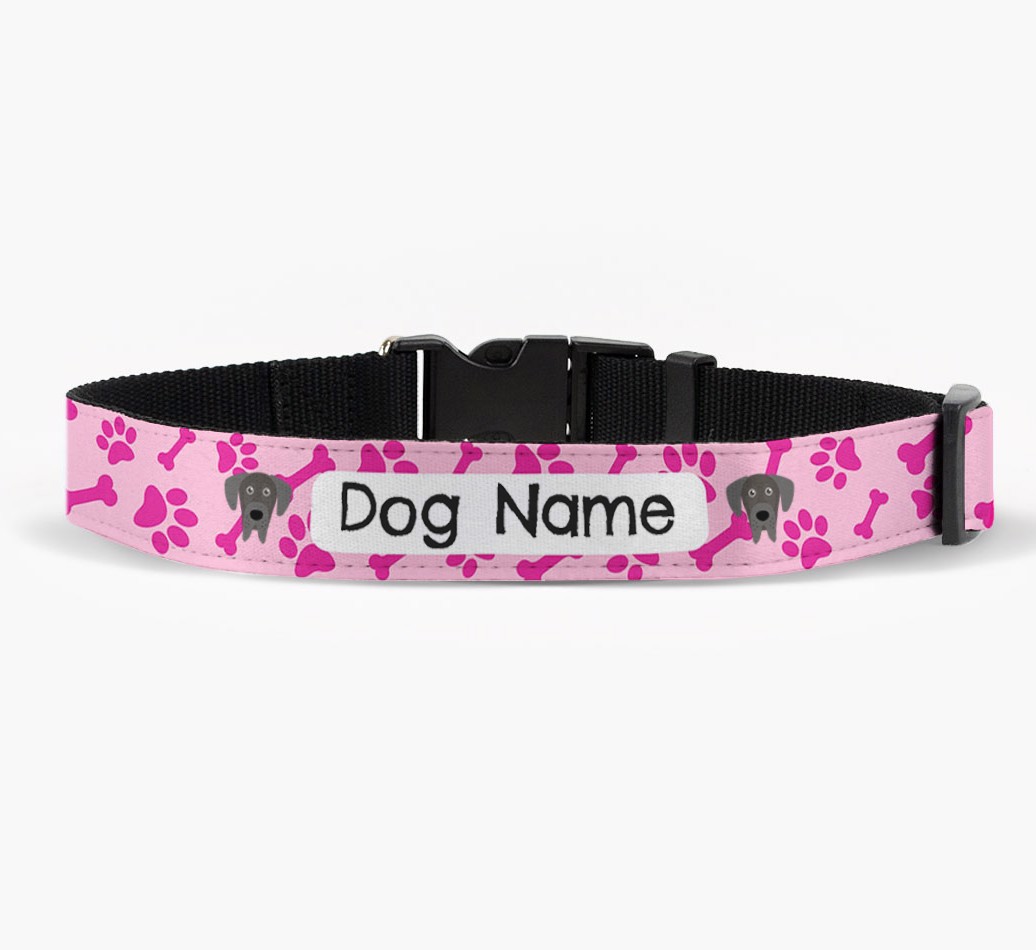 Personalized Fabric Collar with Bone and Paw Pattern and {breedFullName} Icon in front view