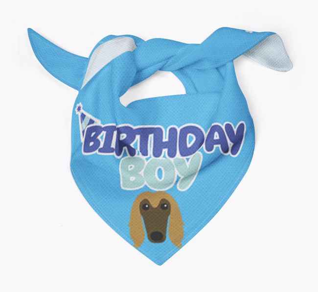 Birthday Boy : Personalized {breedFullName} Bandana