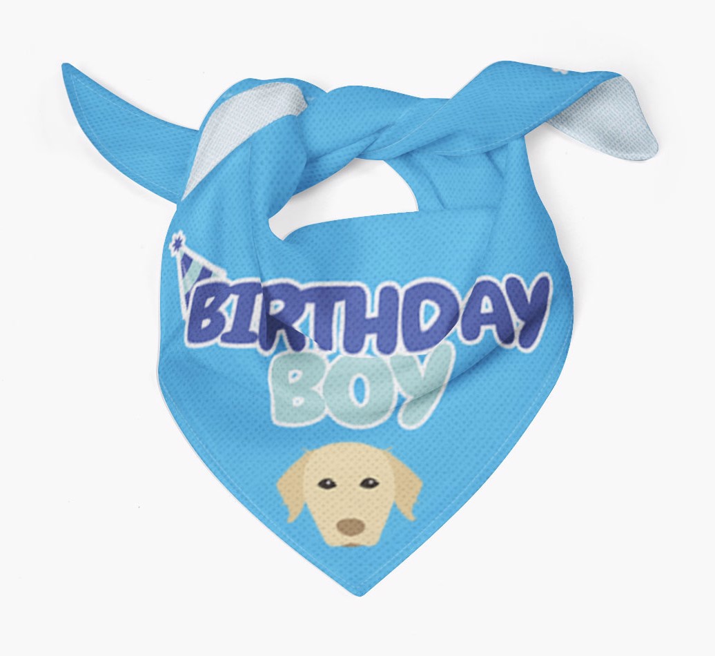 Birthday Boy : Personalised {breedFullName} Bandana - Tied bandana