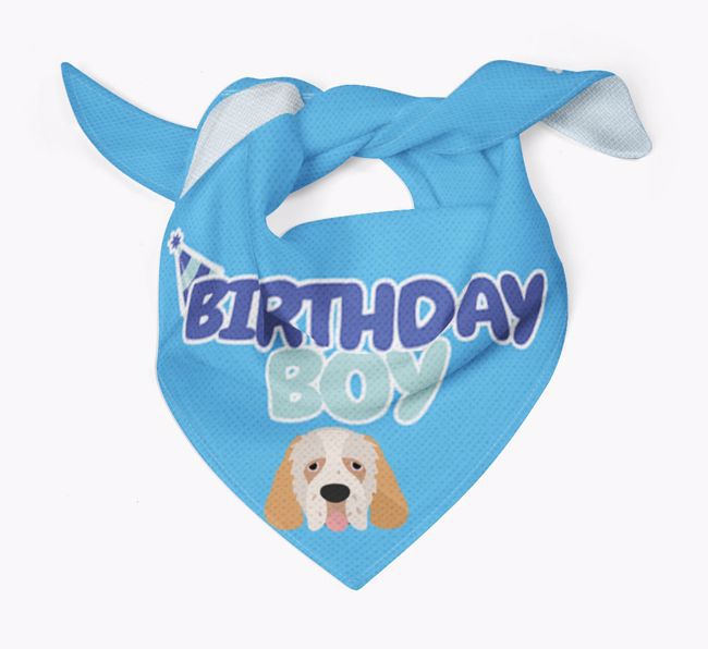 Birthday Boy : Personalised {breedFullName} Bandana