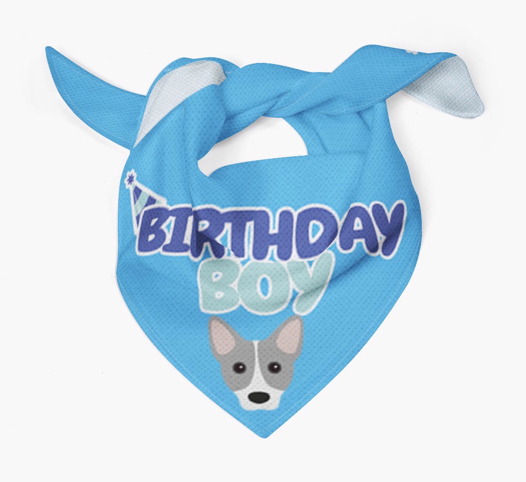 Birthday Boy : Personalized {breedFullName} Bandana - Tied bandana