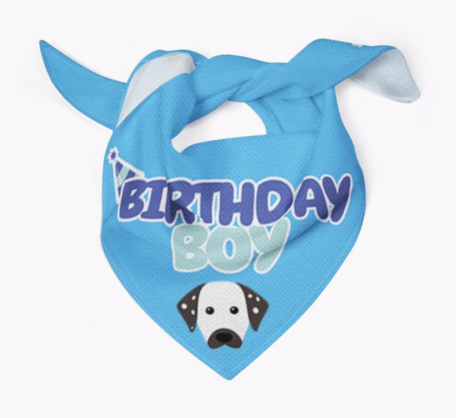 Birthday Boy : Personalized {breedFullName} Bandana