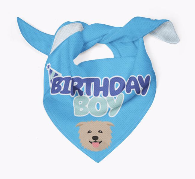 Birthday Boy : Personalised {breedFullName} Bandana