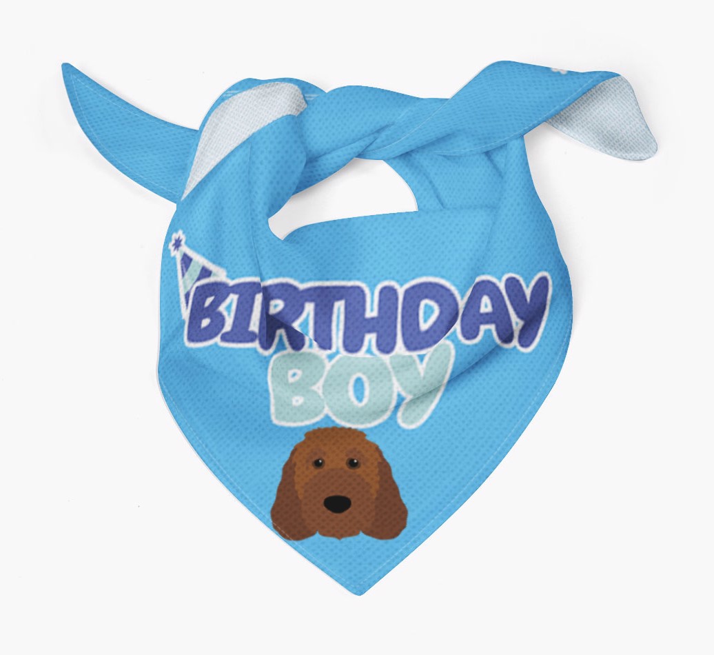 Birthday Boy : Personalised {breedFullName} Bandana - Tied bandana