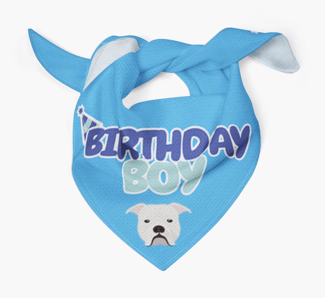 Birthday Boy : Personalized {breedFullName} Bandana - Tied bandana