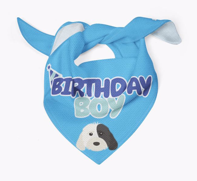 Birthday Boy : Personalised {breedFullName} Bandana