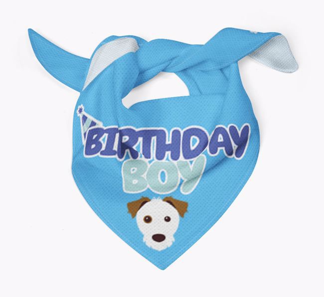 Birthday Boy : Personalized {breedFullName} Bandana