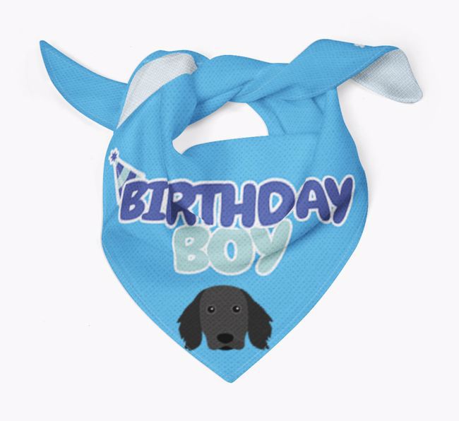 Birthday Boy : Personalised {breedFullName} Bandana