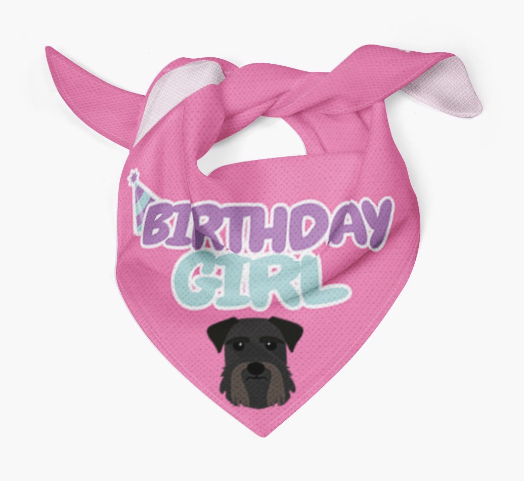 Birthday Girl : Personalised {breedFullName} Bandana - Tied bandana