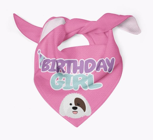 Birthday Girl : Personalised {breedFullName} Bandana 