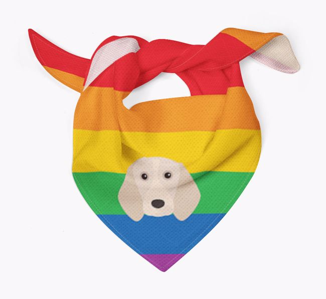 Colourful Rainbow Bandana with {breedFullName} Icon