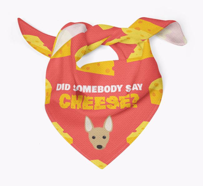 Did Somebody Say Cheese? : Personalized {breedFullName} Bandana