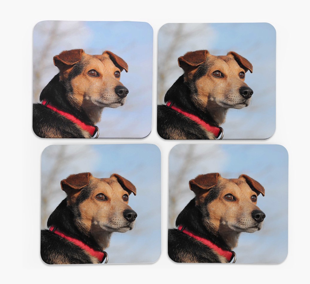 {breedFullName} Photo Upload Coasters in Set of 4