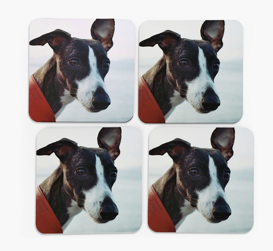 {breedFullName} Photo Upload Coasters in Set of 4