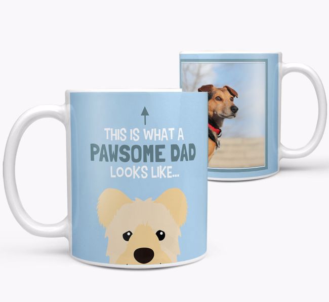 Personalized 'This is what a pawsome dad looks like...' Mug