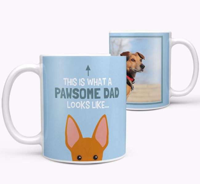 Personalised 'This is what a pawsome dad looks like...' Mug