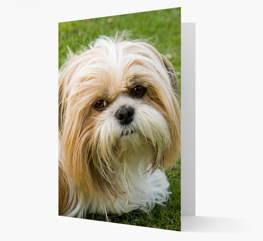 'Plain Photot Upload' - Personalised {breedFullName} Card - Front