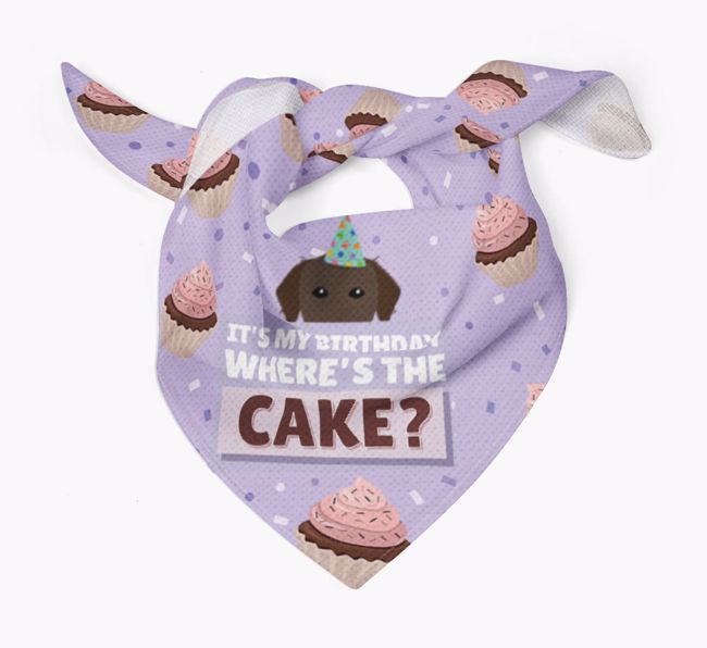 'Where's the Cake?' Birthday Bandana