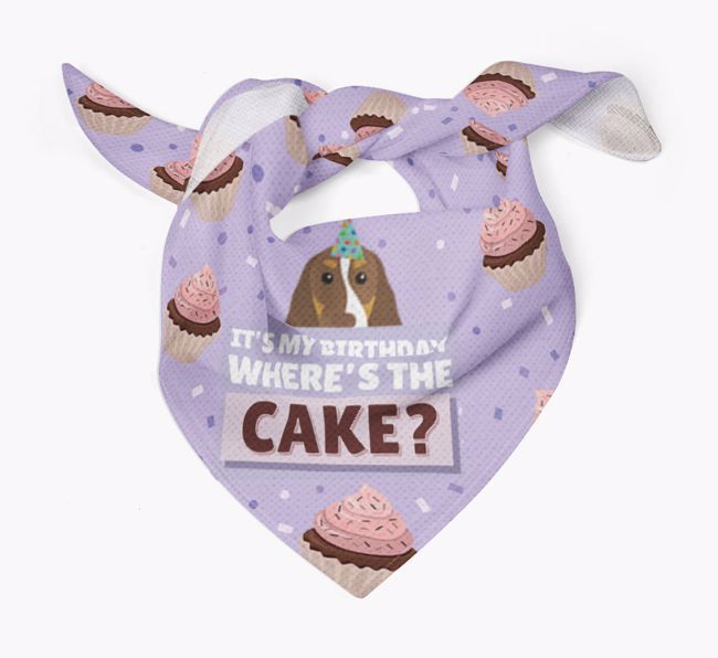 'Where's the Cake?' Birthday Bandana