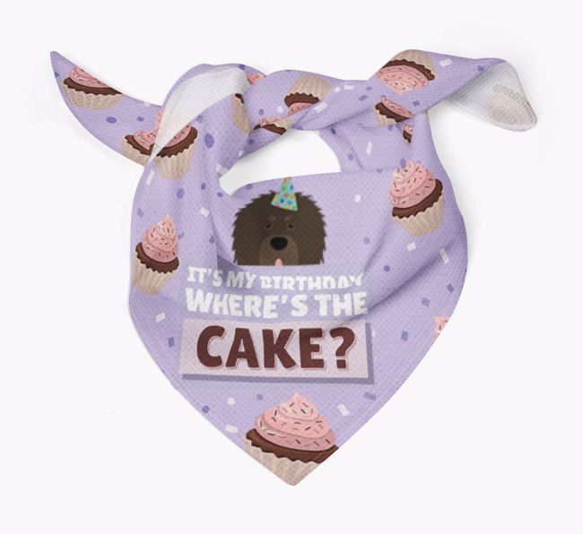 'Where's the Cake?' Birthday Bandana