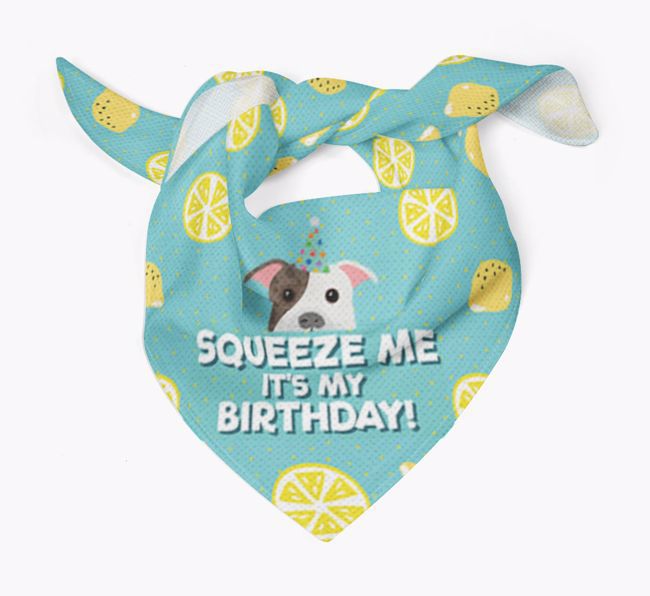 'Squeeze Me, It's My Birthday' Bandana