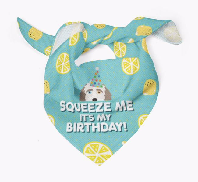 'Squeeze Me, It's My Birthday' Bandana