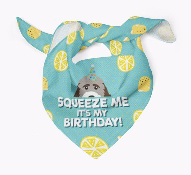 'Squeeze Me, It's My Birthday' Bandana