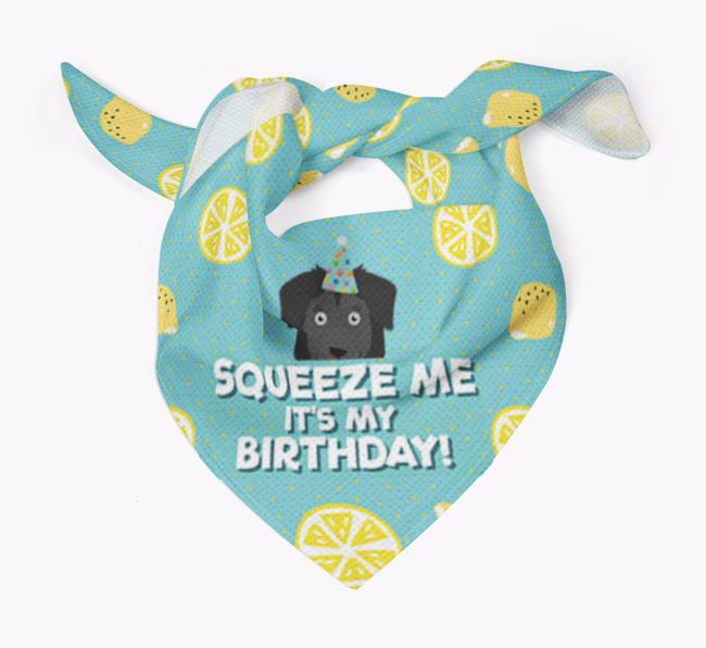 'Squeeze Me, It's My Birthday' Bandana