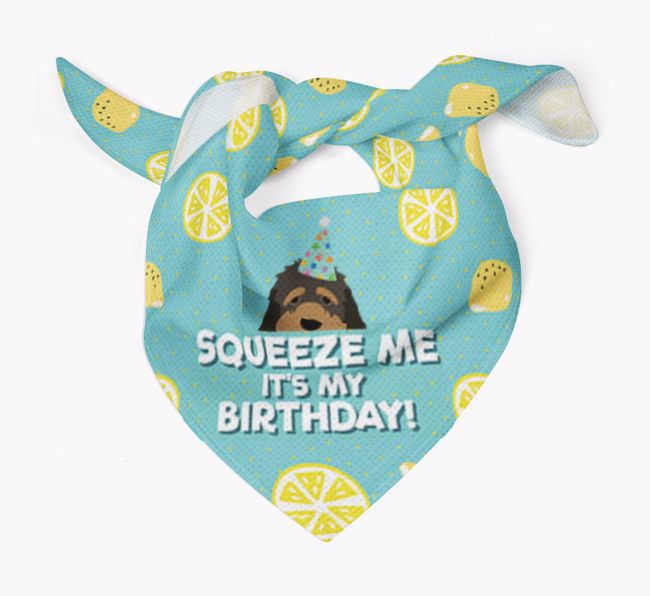 'Squeeze Me, It's My Birthday' Bandana