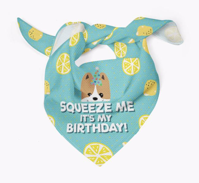 'Squeeze Me, It's My Birthday' Bandana