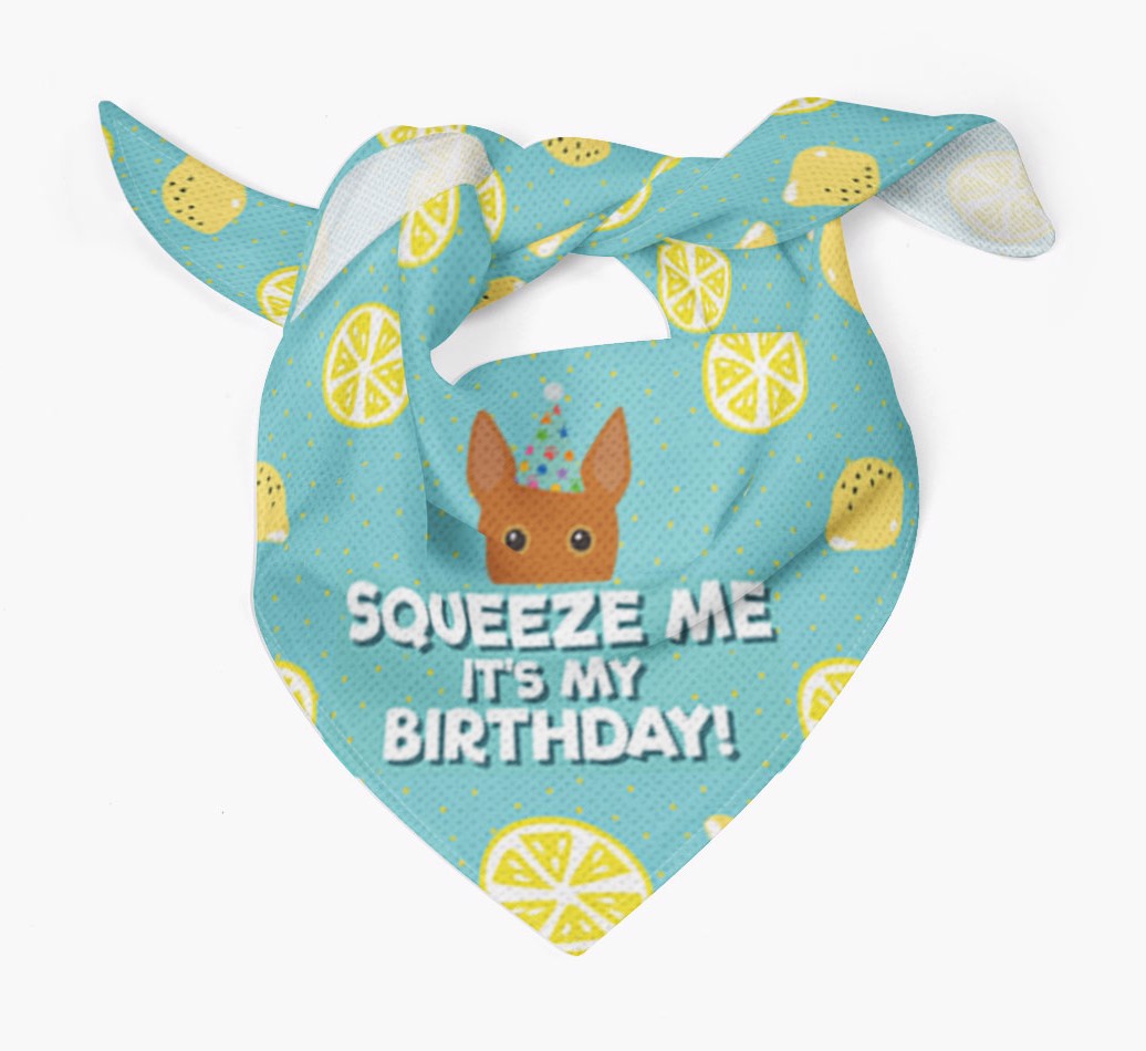 Squeeze Me Bandana for your {breedFullName} Dog Bandana Tied