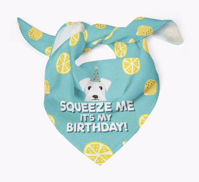 'Squeeze Me, It's My Birthday' Bandana