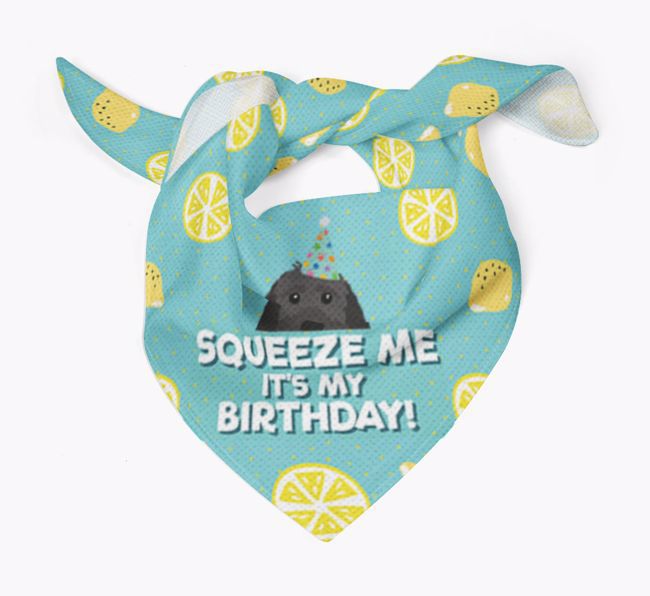 'Squeeze Me, It's My Birthday' Bandana