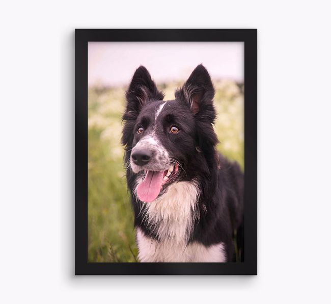 Photo Upload: Personalised {breedFullName} Framed Print
