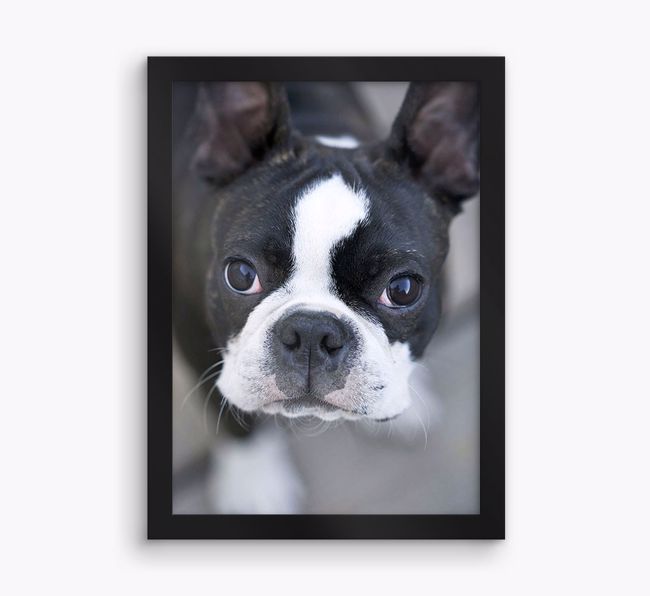 Photo Upload: Personalised {breedFullName} Framed Print