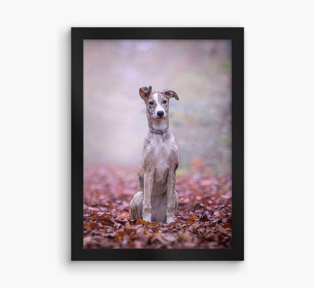 'Photo Upload Framed Print - Personalised with your {breedFullName} - black frame front view