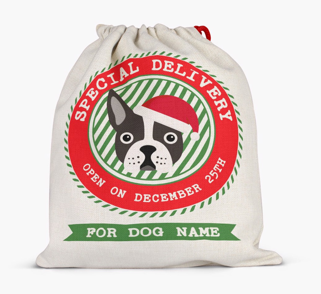 Special Delivery: Personalized {breedFullName} Santa Sack - Full