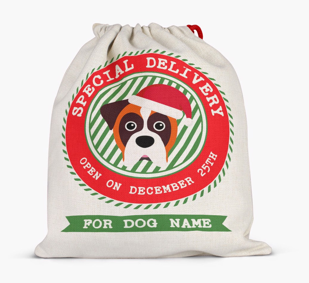 Special Delivery: Personalized {breedFullName} Santa Sack - Full