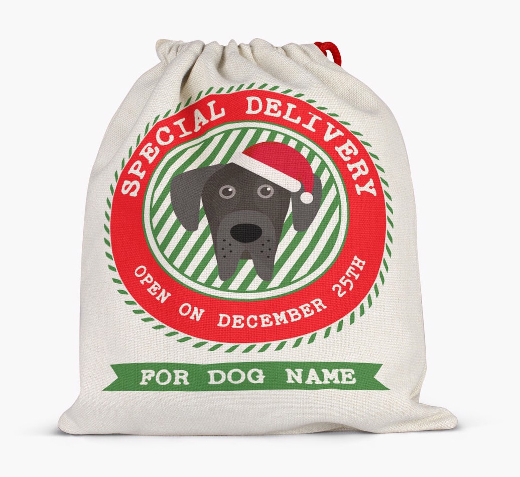 Special Delivery: Personalized {breedFullName} Santa Sack - Full