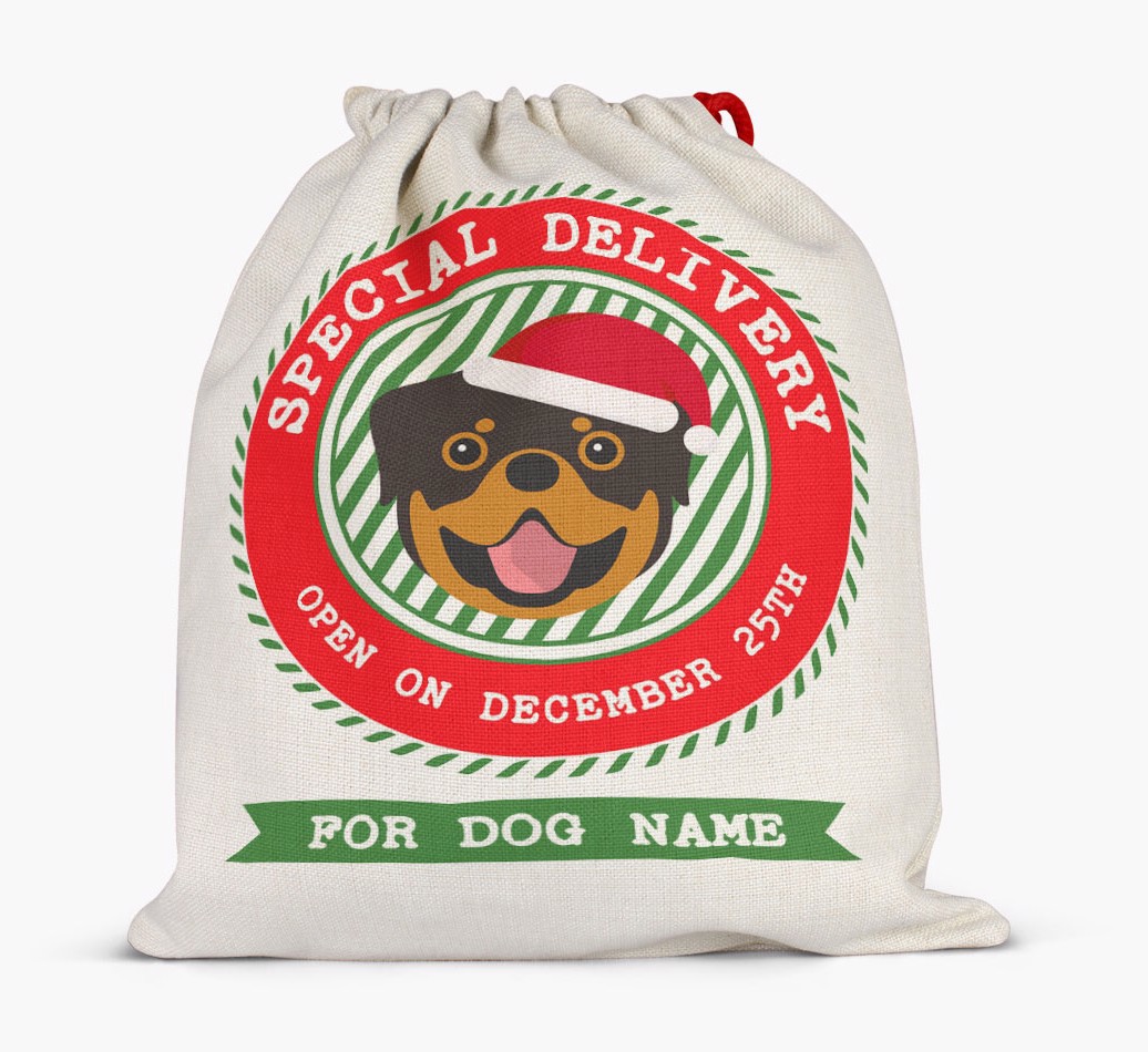 Special Delivery: Personalized {breedFullName} Santa Sack - Full