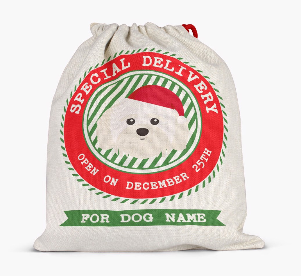 Special Delivery: Personalized {breedFullName} Santa Sack - Full