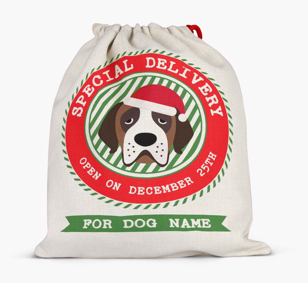 Special Delivery: Personalized {breedFullName} Santa Sack - Full