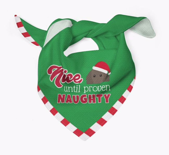 'Nice Until Proven Naughty' - Personalised {breedFullName} Bandana