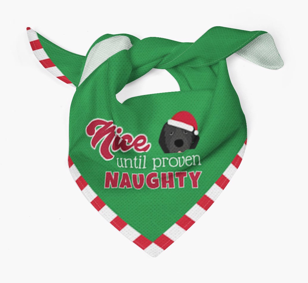 Nice Until Proven Naughty Dog Bandana With Yappicon Tied