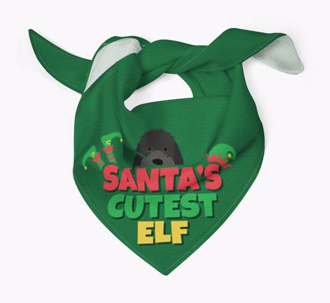 'Santa's Cutest Elf' - Personalised {breedFullName} Bandana