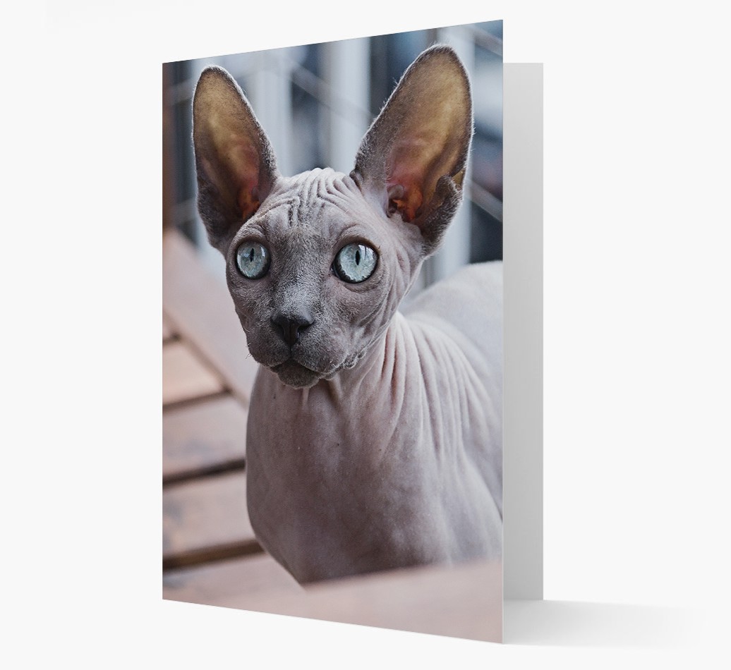 'Photo Upload' - Personalised {breedFullName} Card - Front