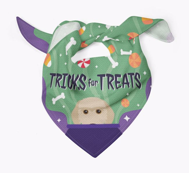 'Tricks For Treats' - Personalised {breedFullName} Bandana 