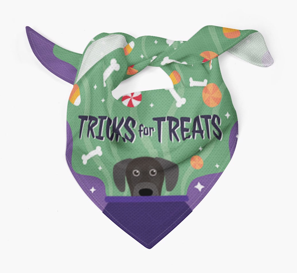 Tricks for Treats: Personalized {breedFullName} Bandana - Tied bandana