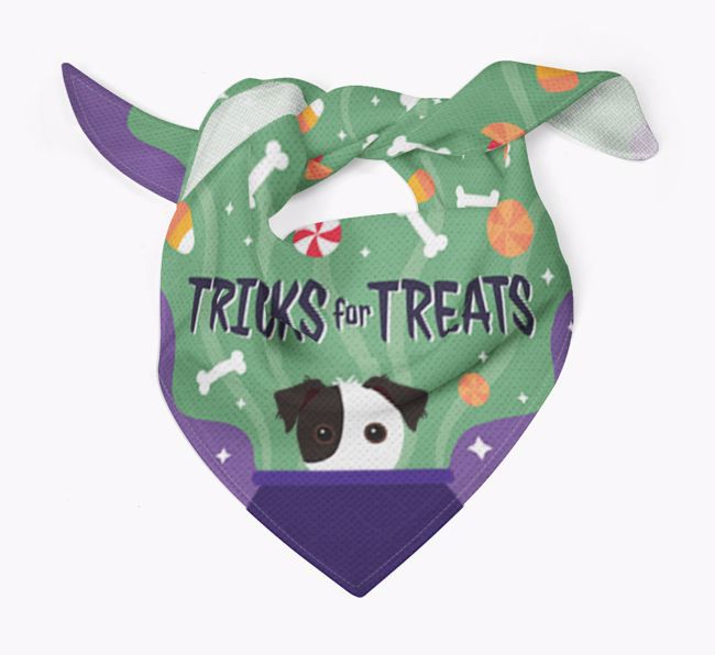 'Tricks For Treats' - Personalised {breedFullName} Bandana 